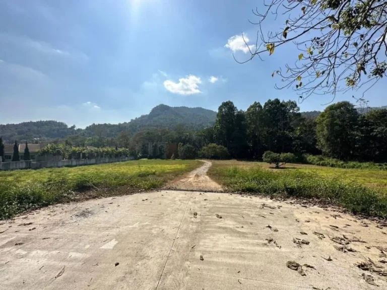 ขายที่ดิน วิวภูเขา ติดลำธาร ติดถนนหลัก จเชียงใหม่