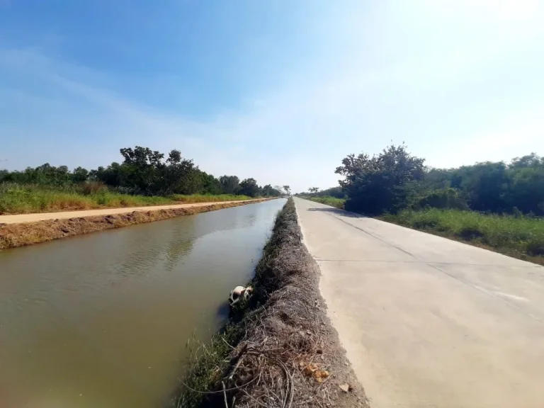 ที่สวยทำเลดี ถมแล้วพร้อมสร้าง ไฟฟ้าปะปาพร้อมราคาจับต้องได้ คลอง 3 ซอย116 คลองหลวง ปทุมธานี