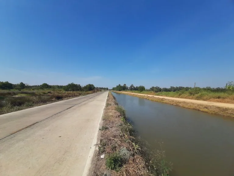 ที่สวยทำเลดี ถมแล้วพร้อมสร้าง ไฟฟ้าปะปาพร้อมราคาจับต้องได้ คลอง 3 ซอย116 คลองหลวง ปทุมธานี