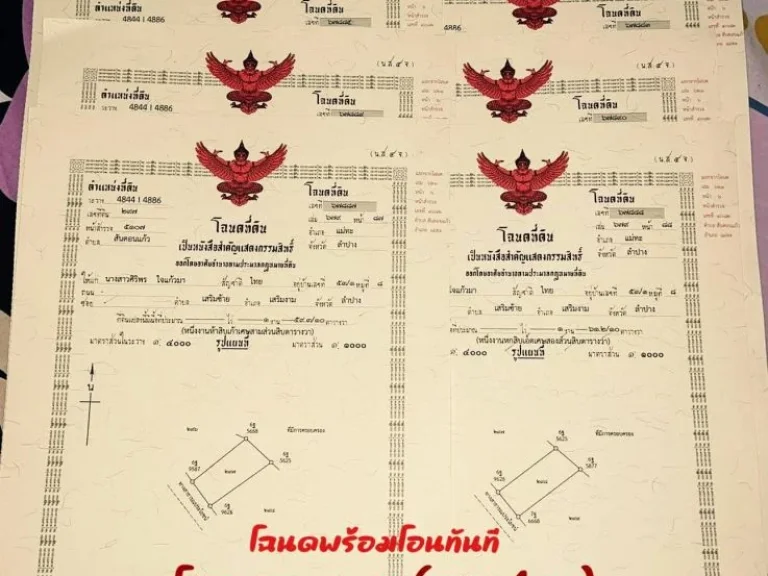 ที่ดินสวย ติดถนนปูน ติดลำธาร วิวภูเขาล้อมรอบ ราคาหลักหมื่น