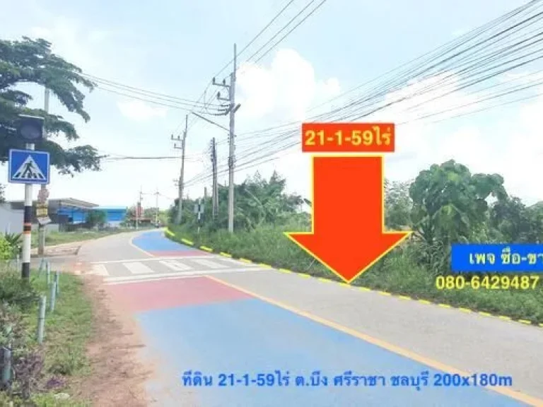 ขายที่ดินผังเมือง EEC เนื้อที่ 215ไร่ ติดถนน 200เมตร ลึก