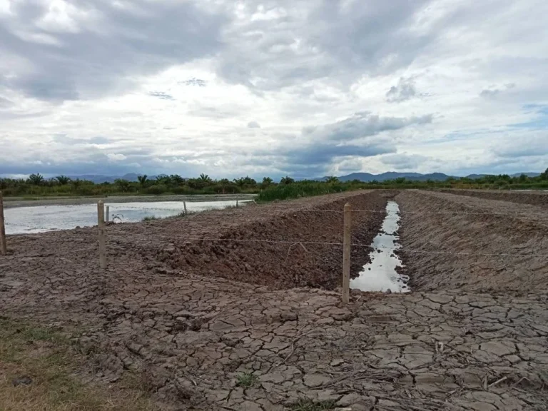 ขายที่ดินร่องสวนเกษตรน้ำท่าอุดมสมบูรณ์ ติดคลองส่งน้ำ เนื้อที่