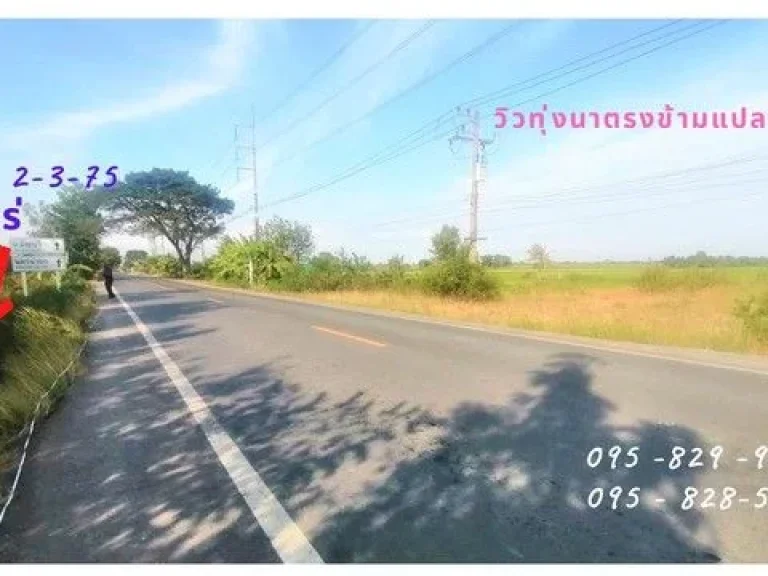 ขายที่ดิน 2-3-75 ไร่ ติดถนน 8 ม ลำลูกกา-องครักษ์ คลอง14