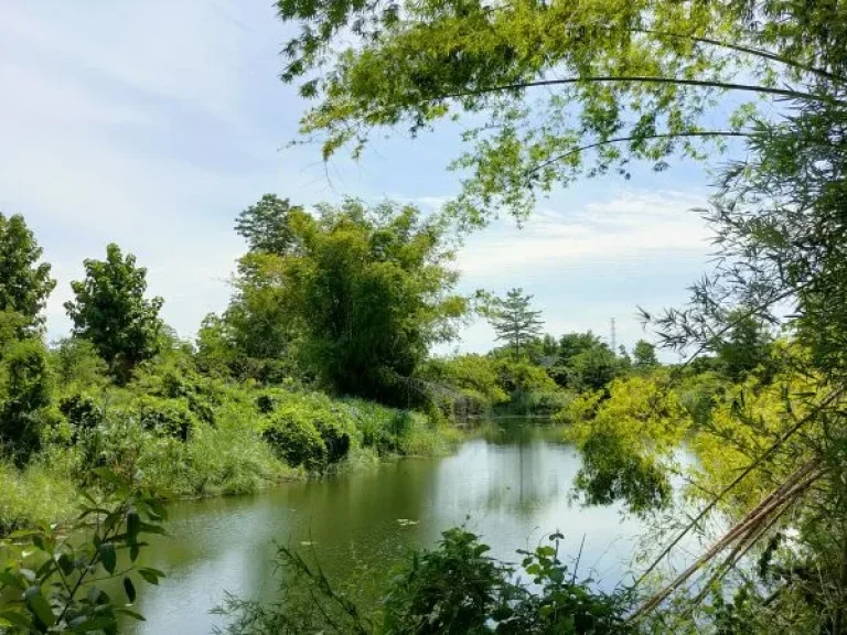 ขายที่ดินติดแม่น้ำลี้ ทำเลดีวิวสวย ใกล้ทางขึ้นดอยอินทนนท์