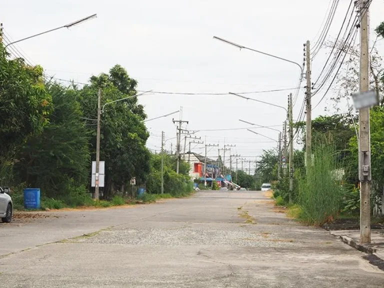 ขายที่ดินหมู่บ้านสยามกรีนวิลล์ติดถนนหลักของหมู่บ้านแปลงมุม