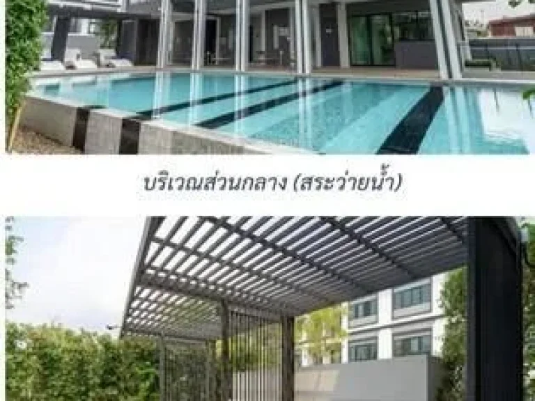 ให้เช่า ทาวน์โฮม 3ชั้น สุขุมวิท 113 บ้านลุมพินี ทาวน์เพลส