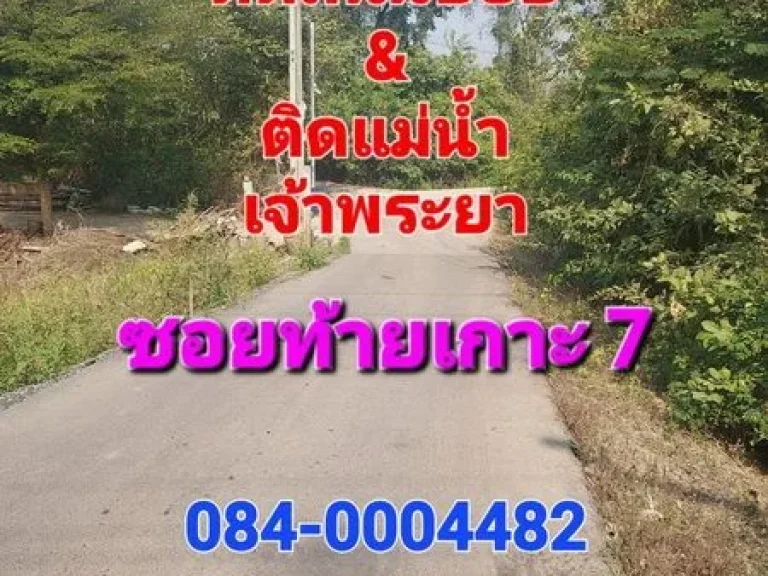 ขายที่ดิน 7 ไร่ ซอยท้ายเกาะ 7 ติดถนนและติดแม่น้ำเจ้าพระยา