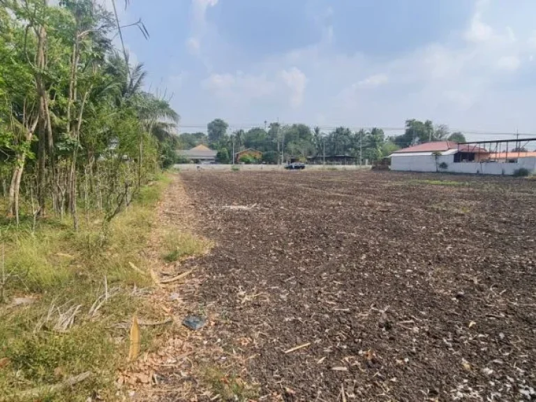 ขายที่ดินสวย 2 ไร่ ติดถนนพระพุทธบาท-ท่าเรือ 3022