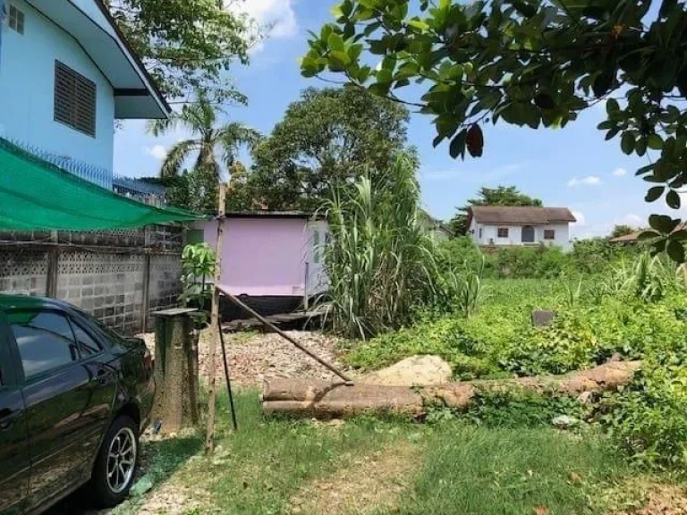 ขายที่ดินเปล่า พื้นที่ 98ตรว ปุณณวิถี 37 ถนนสุขุมวิท101