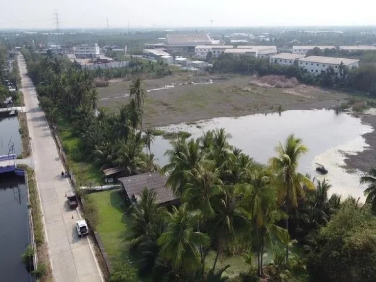 ขายที่ดิน ตรงข้ามโรงเรียนบ้านวังจรเข้ ถนนบ้านแพ้ว