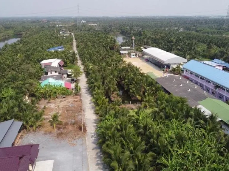 ขายที่ดิน ตรงข้ามโรงเรียนบ้านวังจรเข้ ถนนบ้านแพ้ว