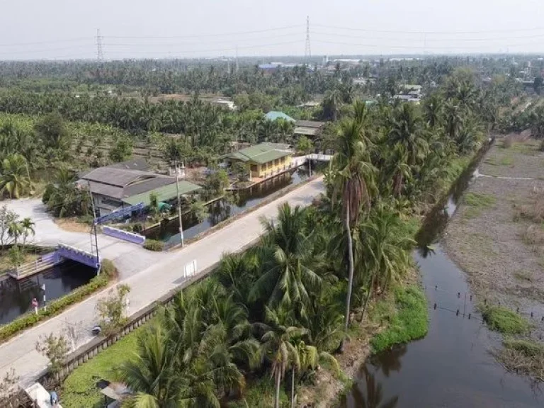 ขายที่ดิน ตรงข้ามโรงเรียนบ้านวังจรเข้ ถนนบ้านแพ้ว