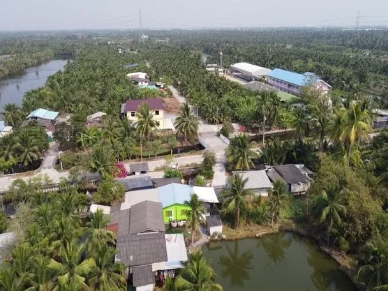 ขายที่ดิน ตรงข้ามโรงเรียนบ้านวังจรเข้ ถนนบ้านแพ้ว