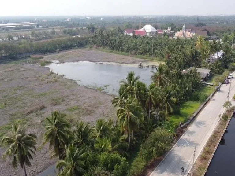 ขายที่ดิน ตรงข้ามโรงเรียนบ้านวังจรเข้ ถนนบ้านแพ้ว