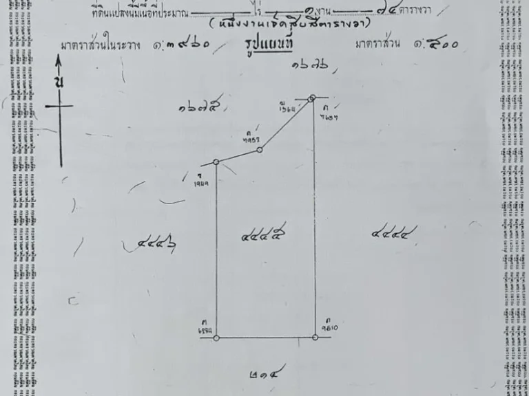 ขายบ้านเดี่ยว ไดเร็คเตอร์ทาวน์ บางบัวทอง นนทบุรี 176 ตารางวา