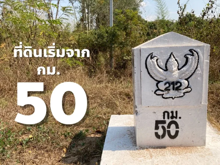 ขาย ที่ดิน135ไร่ เหมาะสร้างปั๊มน้ำมัน หรือบ้านจัดสรร