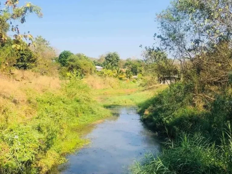 ขายที่ดินตำบลน้ำแพร่หางดงติดลำห้วยแม่ท่าช้างโฉนดพร้อมโอน