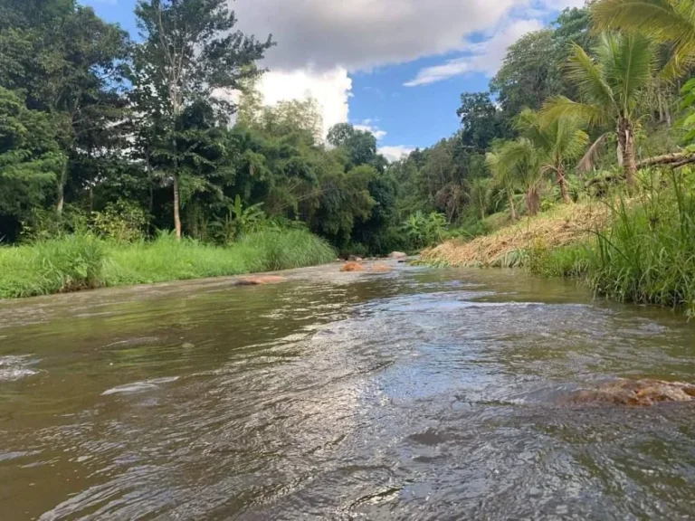 ขายที่ดินติดถนนติดลำธารน้ำบ้านป่าเมี่ยงดอยสะเก็ตราคาถูก