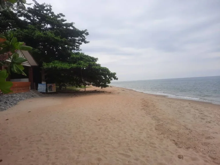 ขายทีดิน ชายหาดแหลมแม่พิมพ์ รวมสื่งปลูกสร้างใก้ลโรงแรม