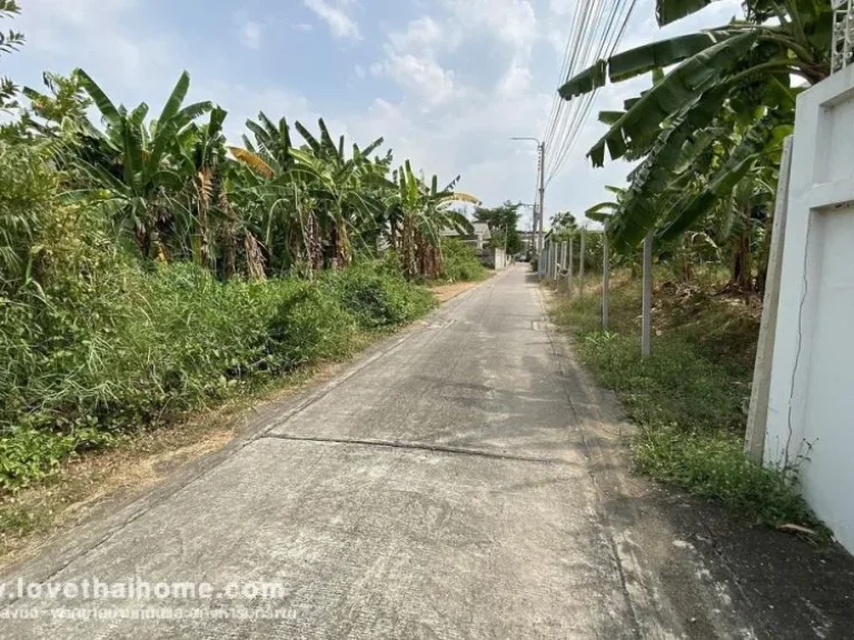 ขายที่ดิน ถนนกำแพงเพชร6 ซอย7 แยก 3-10 พื้นที่148ตรว แปลงสวย