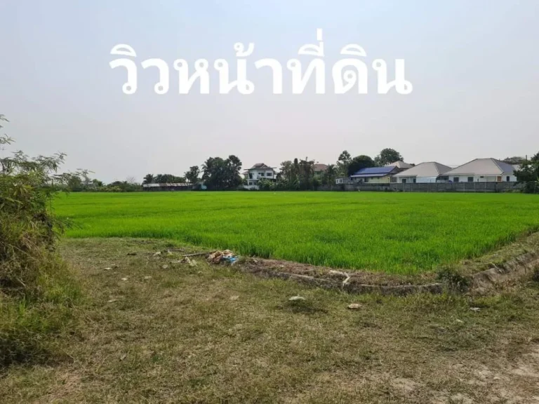 ขายที่ดินติดถนนคอนกรีตบ้านหนองเขียวเหมืองแก้วแม่ริมพร้อมโอน