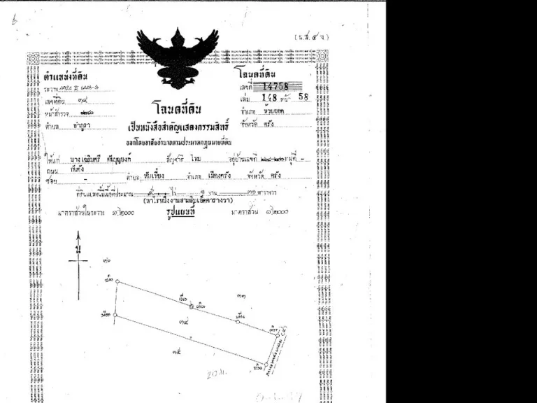 ขายที่ดินสวย ทำเลดี ติดถนนเพชรเกษม ใกล้ตลาดลำภูรา