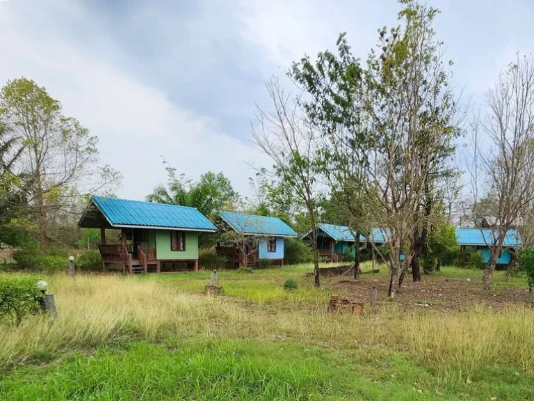 ขายรีสอร์ท อนาดี จปราจีนบุรี พร้อมบ้านเรือนไทยไม้สัก 1 หลัง