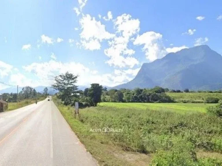 ขายที่ดิน อเชียงดาว จเชียงใหม่ ติดถนนสายหลัก