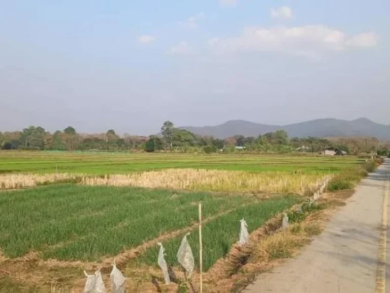 ขายที่นาติดถนนคอนกรีตบ้านแม่โป่งดอยสะเก็ตโฉนดพร้อมโอน