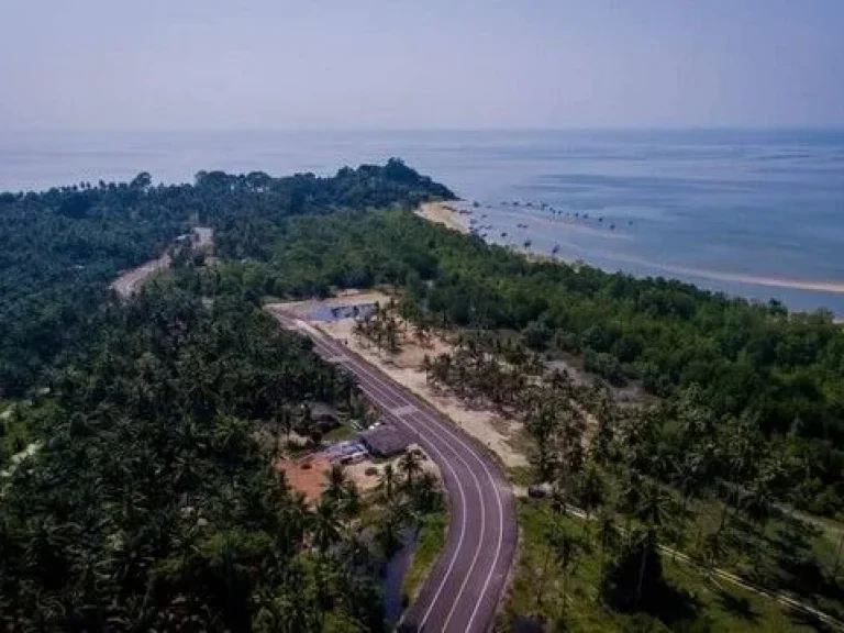 ขายที่ดิน หาดคอเขา หลังสวน ชุมพร ติดถนนเลียบชายหาด