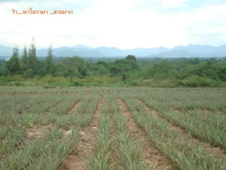 ที่ดินหัวหิน เนินเขา วิวพาโนรามาในเมืองหัวหิน 46 ไร่ ห่างทะเล