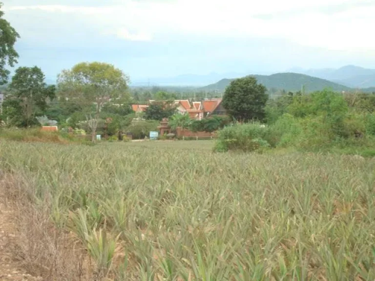 ที่ดินหัวหิน เนินเขา วิวพาโนรามาในเมืองหัวหิน 46 ไร่ ห่างทะเล