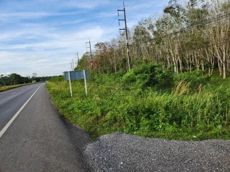 ขายด่วน ที่ดินโฉนด ริมถนนสายเอเซีย ตคลองไทร อท่าฉาง