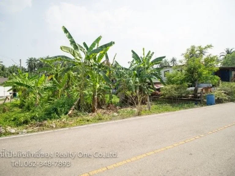 ขาย ที่ดิน ติดถนนซอย บางนกแขวก บางคนที แม่กลอง สมุทรสงคราม