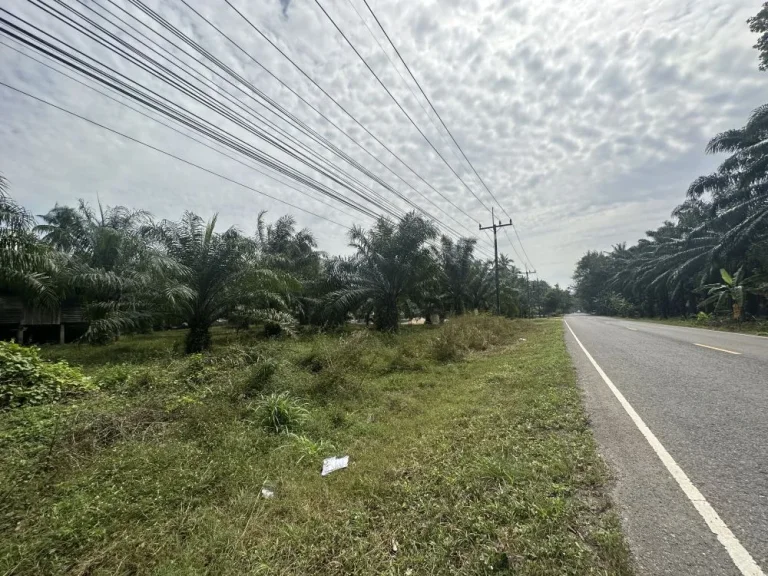 ขายที่ดินท่าชนะ เจ้าของขายเอง ติดถนนทางหลวงสายท่าชนะ-สุราษ