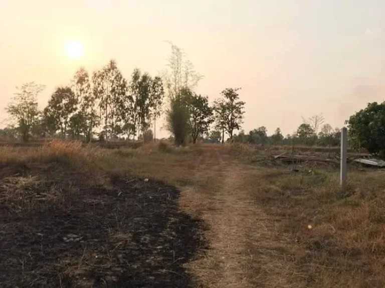 ขายที่ดินวารินชำราบ ใกล้มอุบล เดินทางเพียง7นาทีจากปตทมอุบล