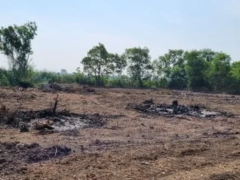 ที่ดินเลียบคลองระพีพัฒน์ 4 ไร่ โรงไฟฟ้าวังน้อย อยุธยา