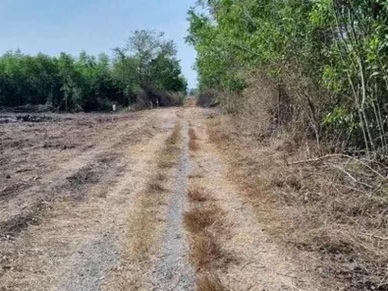 ที่ดินเลียบคลองระพีพัฒน์ 4 ไร่ โรงไฟฟ้าวังน้อย อยุธยา