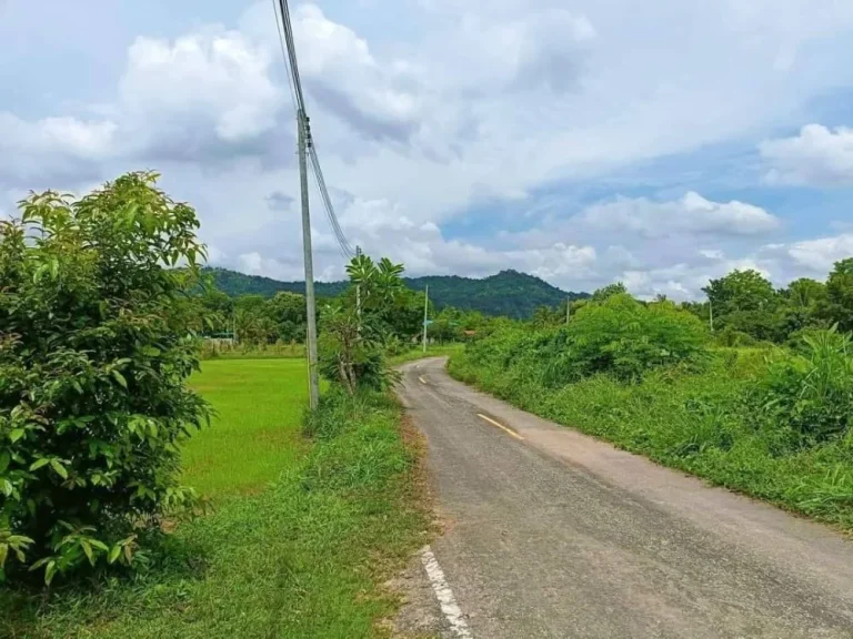 แปลงเล็ก 45 ไร่ วิวเขาล้อม ติดราดยาง น้ำไฟพร้อม เหมาะบ้านสวน