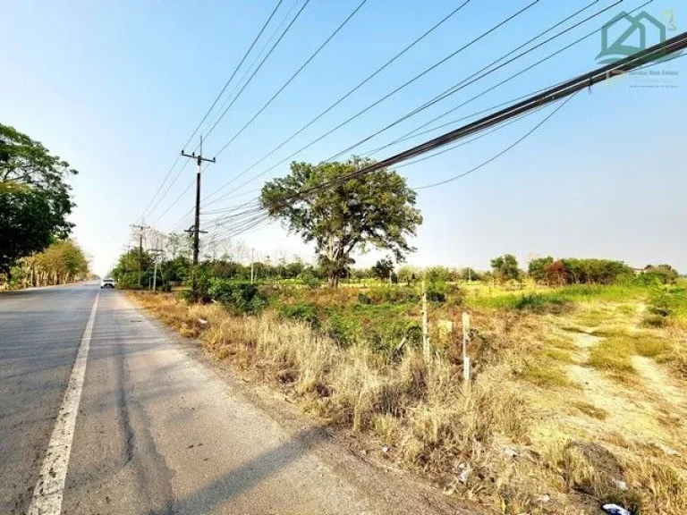 ขายที่ดินติดถนนลาดยางเรียบคลอง คลอง10 หนองเสือ 4 ไร่ ติดถนน 2