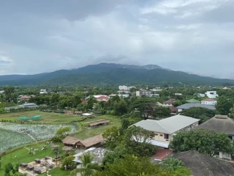 คอนโด North 5 โครงการ SereneLake LAND amp HOUSES 