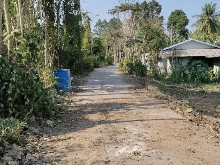 ขายที่ดินดี ร่มรื่น ใกล้แหล่งชุมชน บ้านท่าโพธิ์ เมืองเก่า