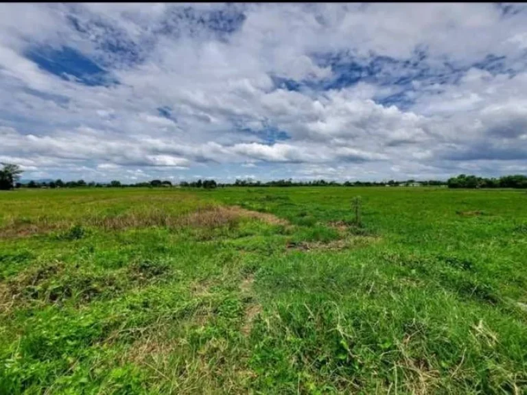 ขายที่ดินบ้านป่าป้องดอยสะเก็ตแบ่งแปลงขายได้เหมาะกับจัดสรรขาย