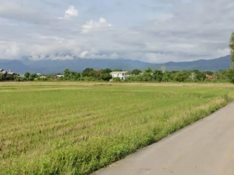 ขายที่นาติดถนนลาดยางบ้านสันโป่งแม่ริมวิวดอยโฉนดพร้อมโอน