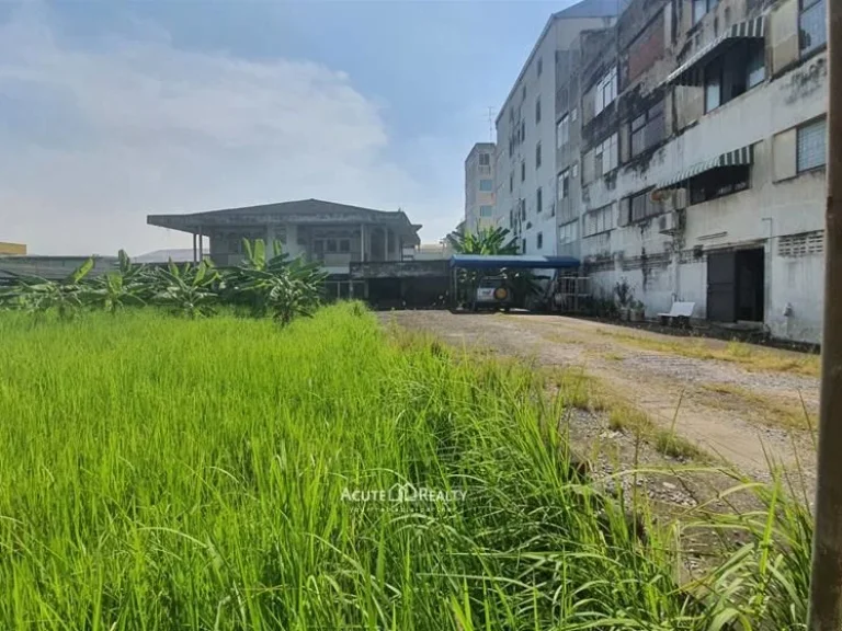 ขายด่วน ที่ดินพร้อมบ้านเดี่ยวติดสถานีรถไฟฟ้าบางอ้อ