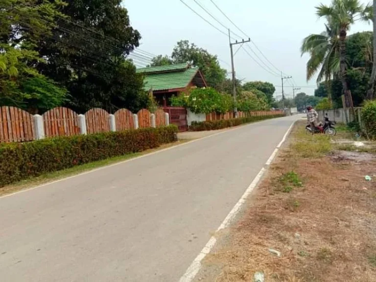 ขายที่ดินติดถนนลาดยางบ้านแช่ช้างสันกำแพงพร้อมโอนราคาถูก