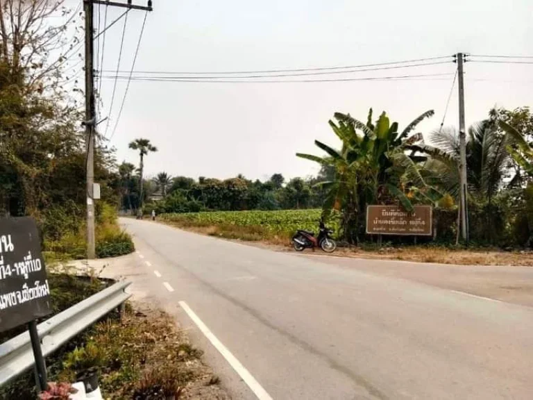 ขายที่ดินติดถนนลาดยางบ้านแช่ช้างสันกำแพงพร้อมโอนราคาถูก