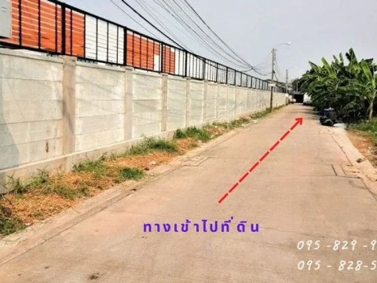 ขายที่ดินถูกถมแล้ว 90 ตรว ติดถนนซอยเกรียงประเสริฐ