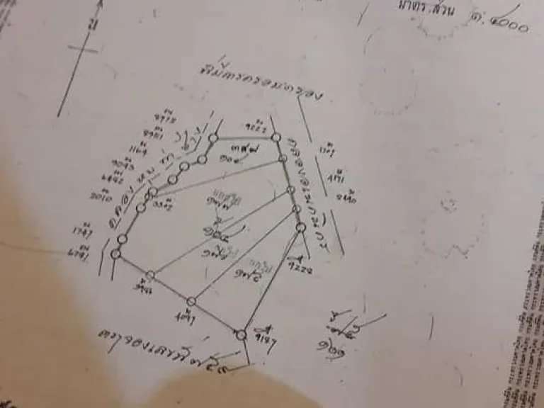 ขายที่ดินติดคลองน้ำล้อม 3 ด้าน จำนวน ที่ดิน 2 ไร่ 3 งาน 48