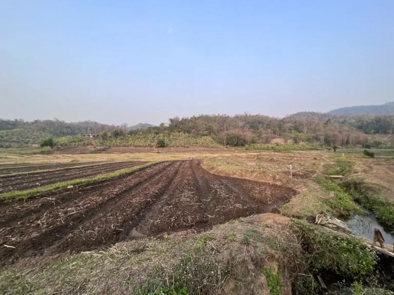 ขายที่ดินติดลำธาร สะเมิงเหนือ บ้านป้อก เชียงใหม่